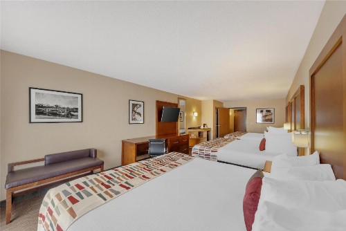 Best Western Alamo Suites Downtown - image 20