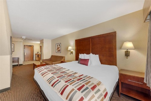 Best Western Alamo Suites Downtown - image 22