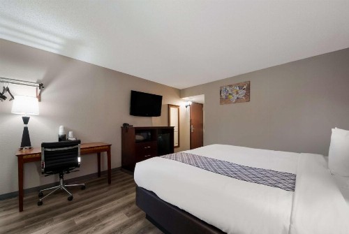 SureStay Plus Hotel by Best Western San Antonio North - image 25