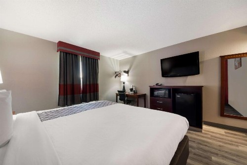 SureStay Plus Hotel by Best Western San Antonio North - image 26