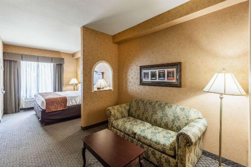 Comfort Suites Alamo Riverwalk - image 12