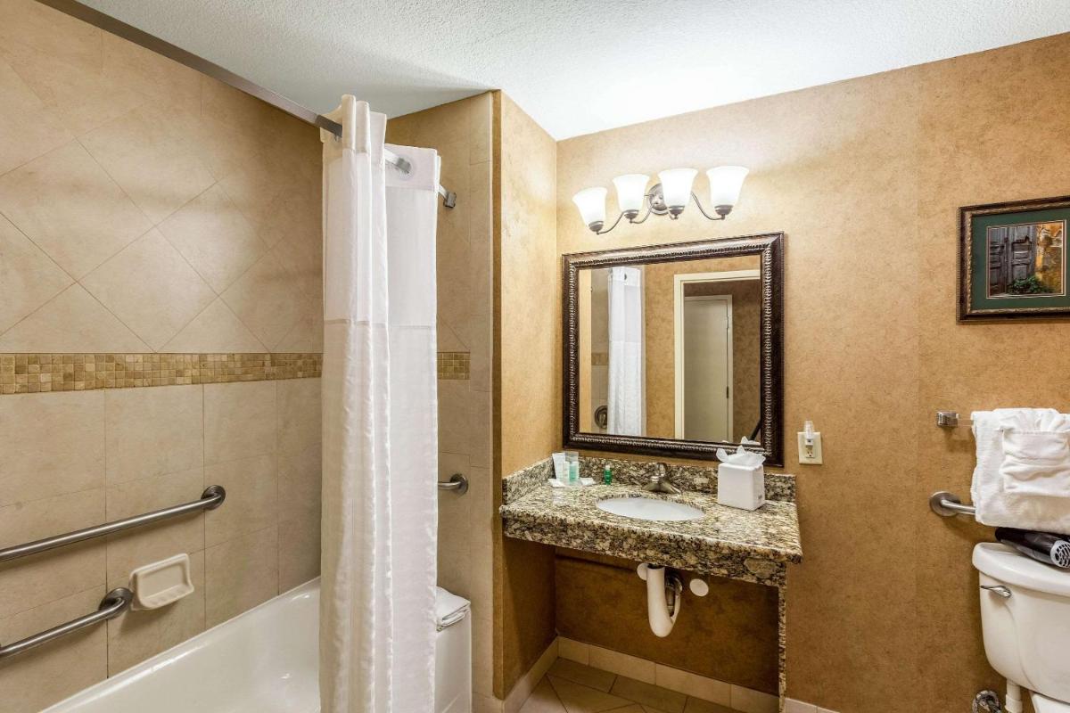 Comfort Suites Alamo Riverwalk - image 5