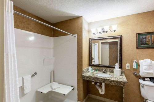 Comfort Suites Alamo Riverwalk - image 6