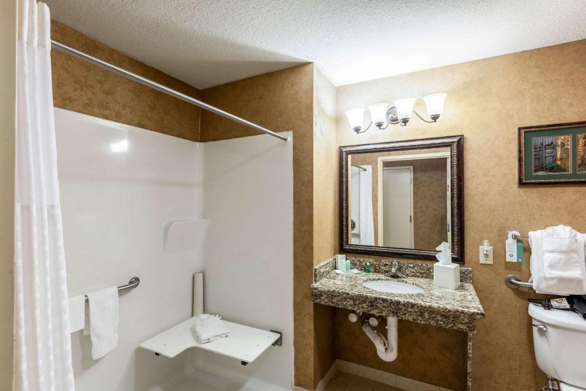 Comfort Suites Alamo Riverwalk - image 6