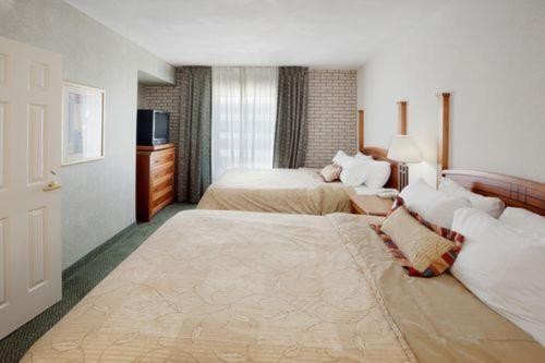 Staybridge Suites San Antonio Airport an IHG Hotel - image 14