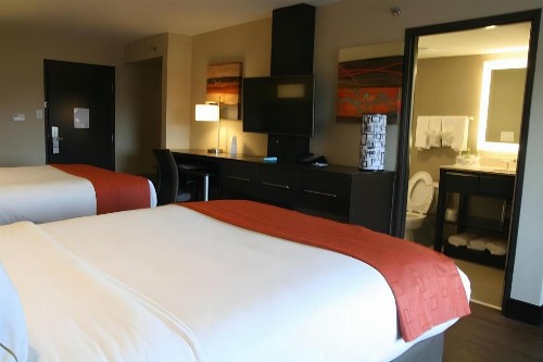 Holiday Inn Express & Suites San Antonio Medical Center North an IHG Hotel - image 47