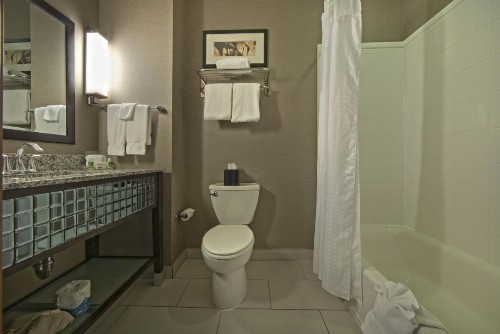 Holiday Inn Hotel & Suites Northwest San Antonio an IHG Hotel - image 20