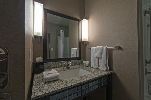 Holiday Inn Hotel & Suites Northwest San Antonio an IHG Hotel - image 21