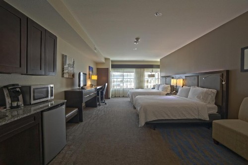 Holiday Inn Hotel & Suites Northwest San Antonio an IHG Hotel - image 26