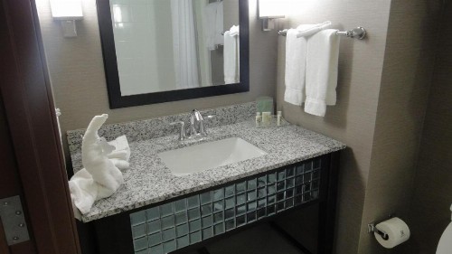Holiday Inn Hotel & Suites Northwest San Antonio an IHG Hotel - image 38