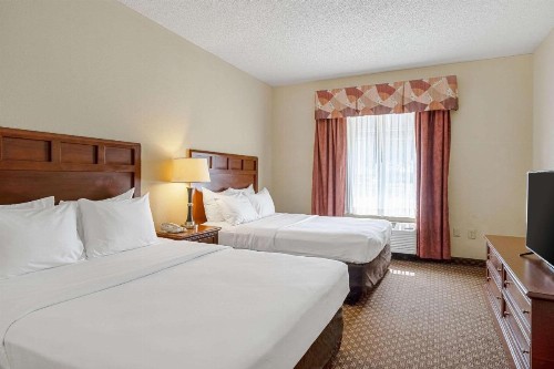 Quality Suites - image 11