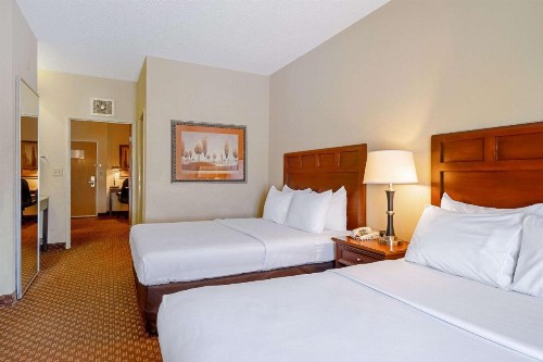 Quality Suites - image 14
