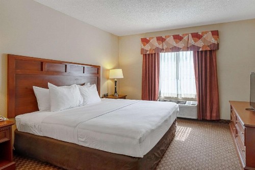 Quality Suites - image 40