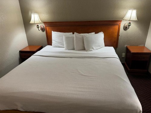 Rodeway Inn & Suites South of Fiesta Park - image 37