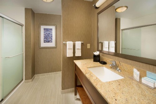 Hampton Inn & Suites San Antonio-Downtown/Market Square - image 8