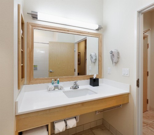 Holiday Inn Express & Suites San Antonio Brooks City Base an IHG Hotel - image 25