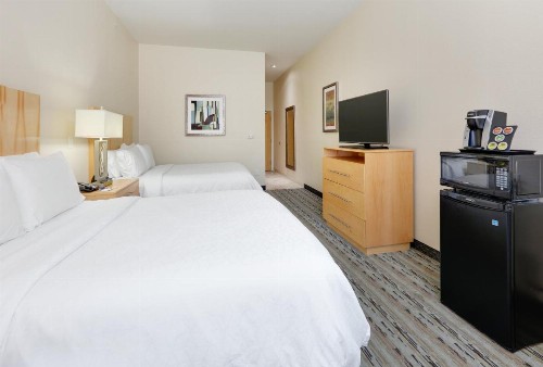 Holiday Inn Express & Suites San Antonio Brooks City Base an IHG Hotel - image 3