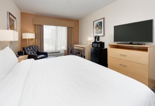 Holiday Inn Express & Suites San Antonio Brooks City Base an IHG Hotel - image 37