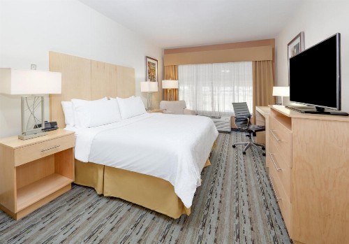 Holiday Inn Express & Suites San Antonio Brooks City Base an IHG Hotel - image 38