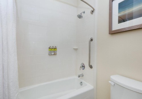 Holiday Inn Express & Suites San Antonio Brooks City Base an IHG Hotel - image 4