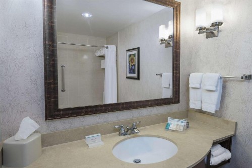 Hilton Garden Inn San Antonio/Rim Pass Drive - image 17
