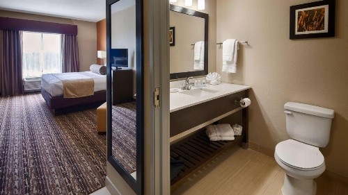 Best Western Plus Elmendorf Hotel - image 6