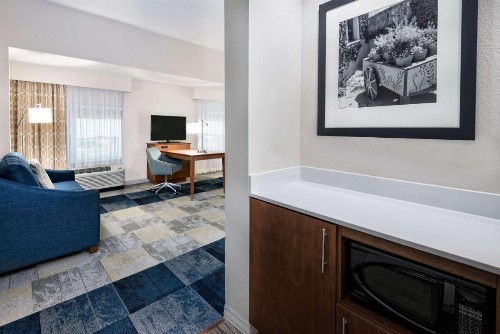 Hampton Inn & Suites San Antonio Brooks City Base TX - image 6