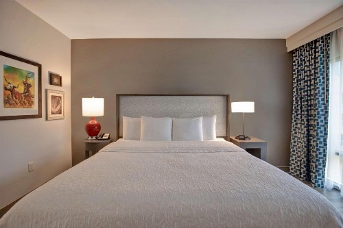 Hampton Inn & Suites San Antonio Riverwalk - image 28