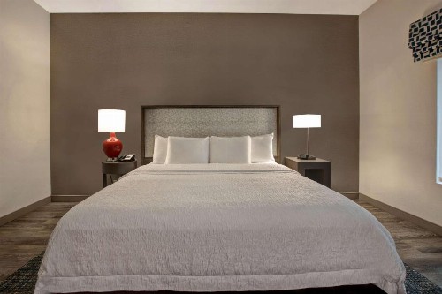 Hampton Inn & Suites San Antonio Riverwalk - image 4