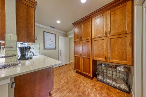 Castle Hills Casa - image 4
