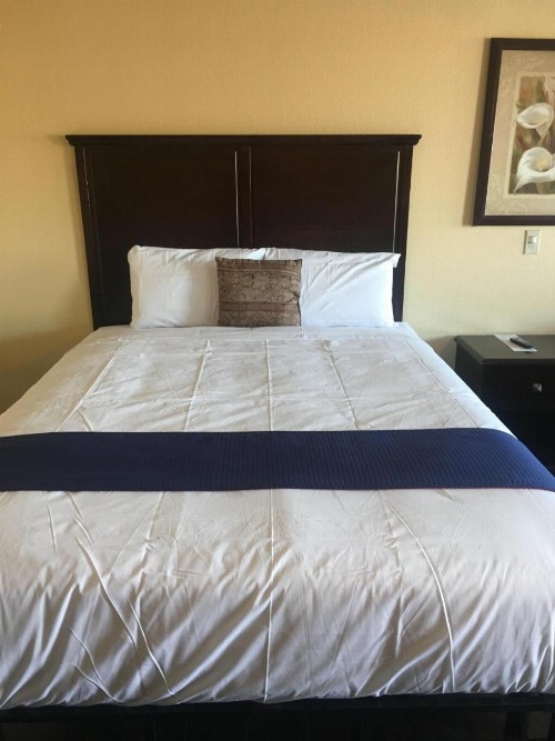 Budget Lodge San Bernadino - image 12