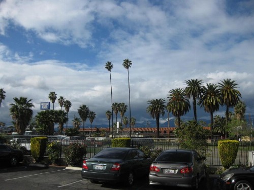 Sunshine Motel - image 11