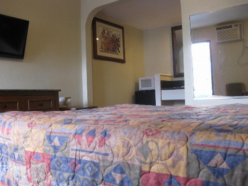 Sunshine Motel - image 19