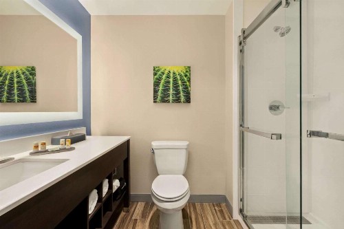 La Quinta Inn & Suites by Wyndham San Bernardino - image 17
