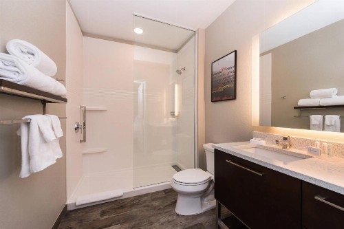 TownePlace Suites by Marriott San Bernardino Loma Linda - image 19