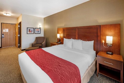 Comfort Inn & Suites San Francisco Airport West - image 23