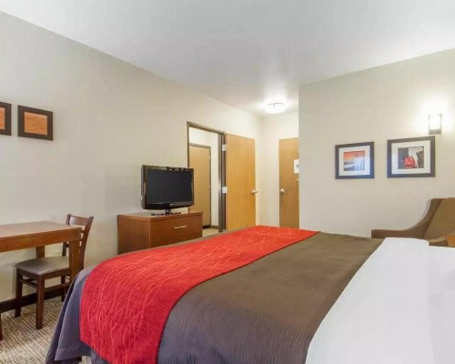 Comfort Inn & Suites San Francisco Airport West - image 33