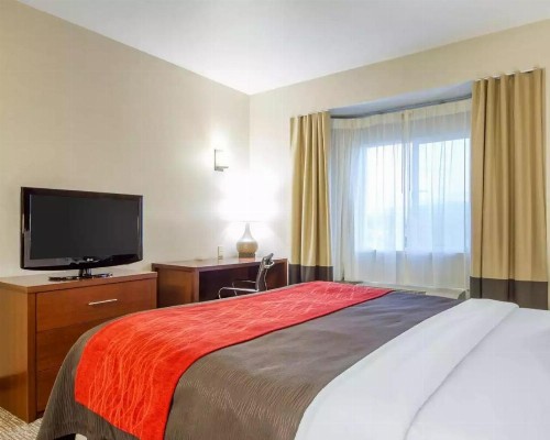 Comfort Inn & Suites San Francisco Airport West - image 34