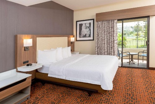 Hampton Inn & Suites San Clemente - image 16