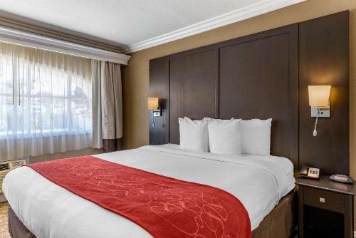 Comfort Suites San Clemente Beach - image 24