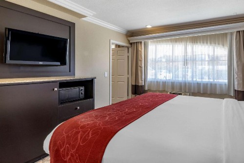 Comfort Suites San Clemente Beach - image 50