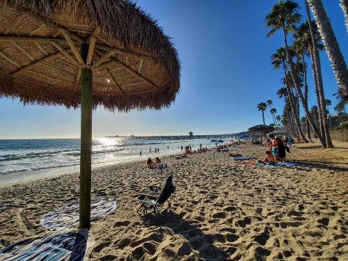 Sea Horse Resort - image 6