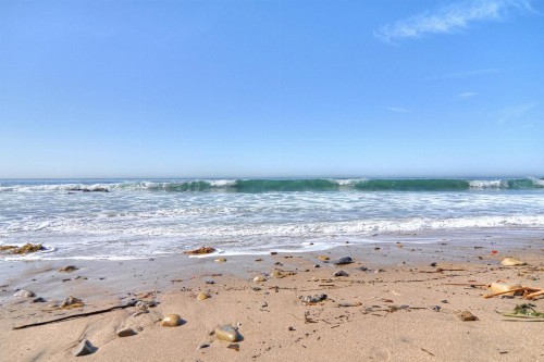 Monterey D - image 9
