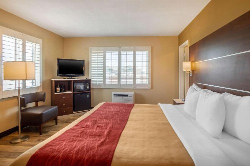 Comfort Inn San Diego Airport At The Harbor - image 22
