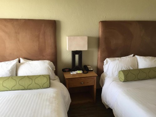 Surfer Beach Hotel - image 34