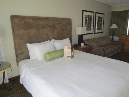 Surfer Beach Hotel - image 45