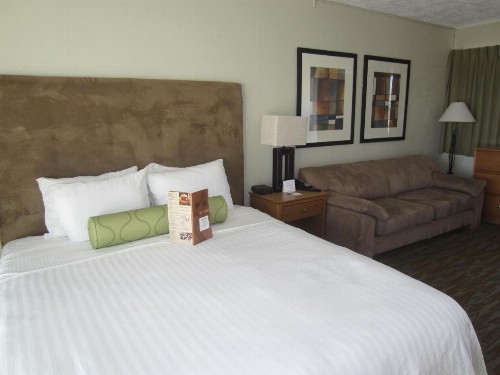 Surfer Beach Hotel - image 50