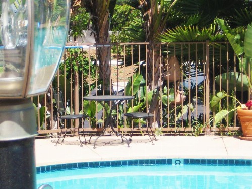Hotel Iris - Mission Valley-San Diego Zoo-SeaWorld - image 33