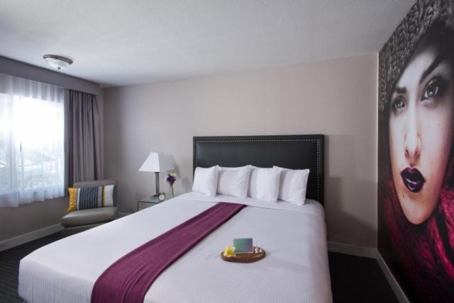 Hotel Iris - Mission Valley-San Diego Zoo-SeaWorld - image 4