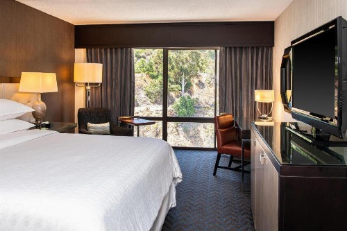 Sheraton Mission Valley San Diego Hotel - image 27
